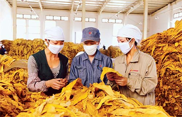 烟叶分级灯箱的色温和显色指数是多少？